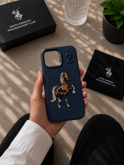 Santa Barbara case